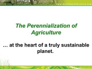 The Perennialization of
Agriculture
… at the heart of a truly sustainable
planet.
 