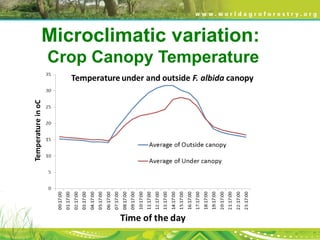 Microclimatic variation:
Crop Canopy Temperature
 