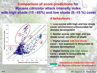 Coffee Pests and Diseases in Costa Rica