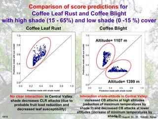 Coffee Pests and Diseases in Costa Rica