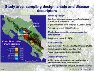 Coffee Pests and Diseases in Costa Rica