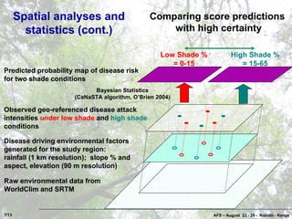 Coffee Pests and Diseases in Costa Rica