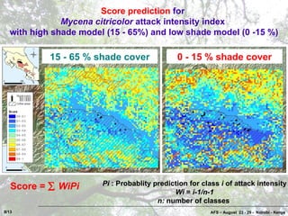 Coffee Pests and Diseases in Costa Rica