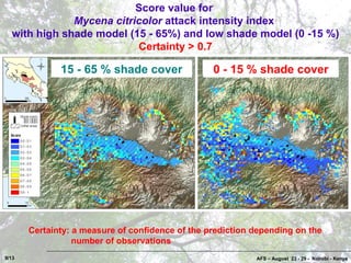 Coffee Pests and Diseases in Costa Rica