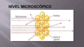 NÍVEL MICROSCÓPICO
 