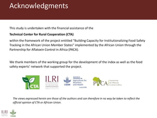 African Food Safety Index: Evaluation and validation