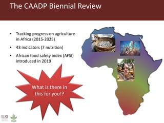 African Food Safety Index: Evaluation and validation