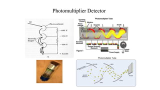 Photomultiplier Detector
 