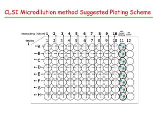 Clsi Method AFST .pptx