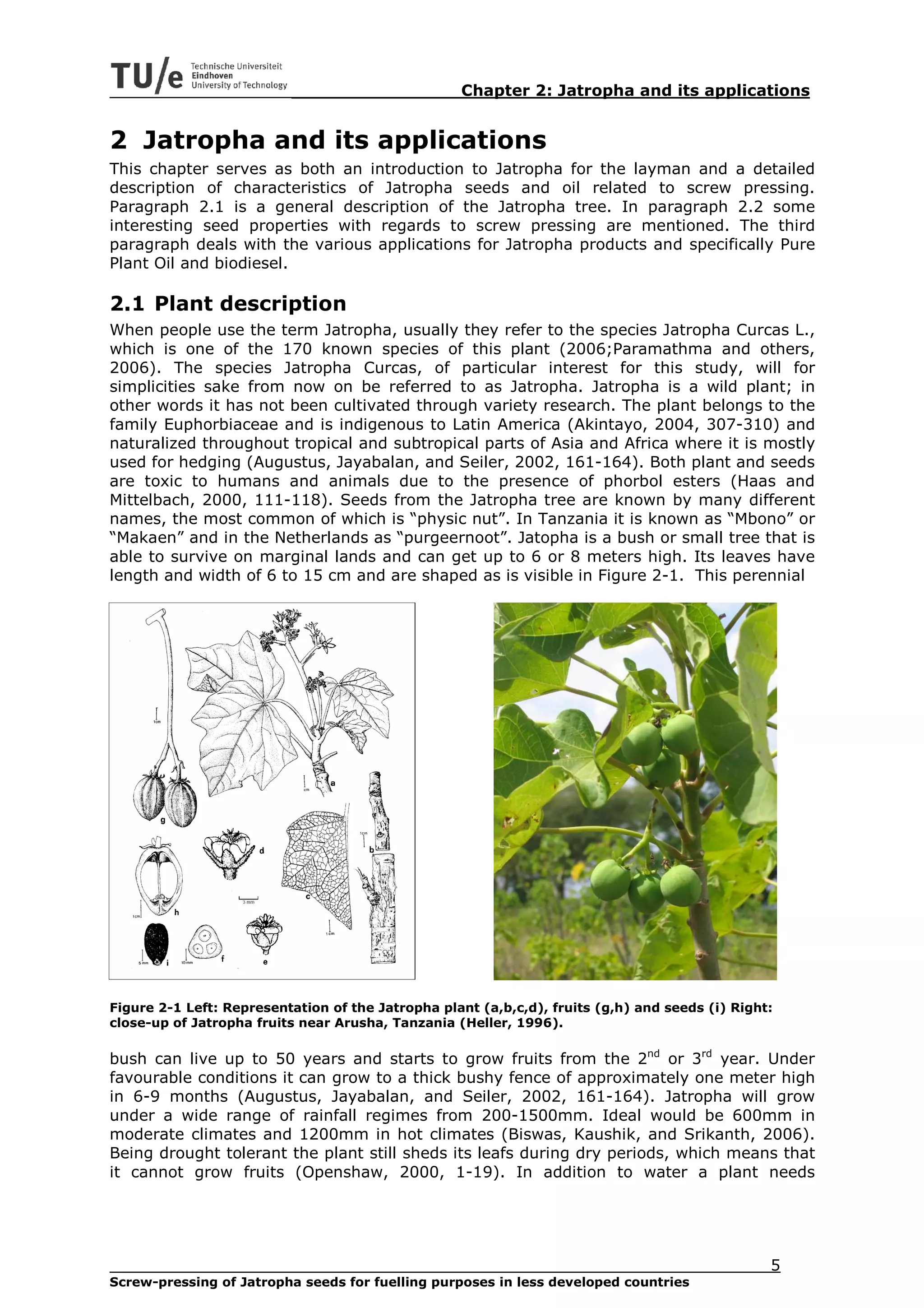 Chapter 2: Jatropha and its applications


2 Jatropha and its applications
This chapter serves as both an introduction to Jatropha for the layman and a detailed
description of characteristics of Jatropha seeds and oil related to screw pressing.
Paragraph 2.1 is a general description of the Jatropha tree. In paragraph 2.2 some
interesting seed properties with regards to screw pressing are mentioned. The third
paragraph deals with the various applications for Jatropha products and specifically Pure
Plant Oil and biodiesel.

2.1 Plant description
When people use the term Jatropha, usually they refer to the species Jatropha Curcas L.,
which is one of the 170 known species of this plant (2006;Paramathma and others,
2006). The species Jatropha Curcas, of particular interest for this study, will for
simplicities sake from now on be referred to as Jatropha. Jatropha is a wild plant; in
other words it has not been cultivated through variety research. The plant belongs to the
family Euphorbiaceae and is indigenous to Latin America (Akintayo, 2004, 307-310) and
naturalized throughout tropical and subtropical parts of Asia and Africa where it is mostly
used for hedging (Augustus, Jayabalan, and Seiler, 2002, 161-164). Both plant and seeds
are toxic to humans and animals due to the presence of phorbol esters (Haas and
Mittelbach, 2000, 111-118). Seeds from the Jatropha tree are known by many different
names, the most common of which is “physic nut”. In Tanzania it is known as “Mbono” or
“Makaen” and in the Netherlands as “purgeernoot”. Jatopha is a bush or small tree that is
able to survive on marginal lands and can get up to 6 or 8 meters high. Its leaves have
length and width of 6 to 15 cm and are shaped as is visible in Figure 2-1. This perennial




Figure 2-1 Left: Representation of the Jatropha plant (a,b,c,d), fruits (g,h) and seeds (i) Right:
close-up of Jatropha fruits near Arusha, Tanzania (Heller, 1996).

bush can live up to 50 years and starts to grow fruits from the 2nd or 3rd year. Under
favourable conditions it can grow to a thick bushy fence of approximately one meter high
in 6-9 months (Augustus, Jayabalan, and Seiler, 2002, 161-164). Jatropha will grow
under a wide range of rainfall regimes from 200-1500mm. Ideal would be 600mm in
moderate climates and 1200mm in hot climates (Biswas, Kaushik, and Srikanth, 2006).
Being drought tolerant the plant still sheds its leafs during dry periods, which means that
it cannot grow fruits (Openshaw, 2000, 1-19). In addition to water a plant needs




                                                                                                 5
Screw-pressing of Jatropha seeds for fuelling purposes in less developed countries
 
