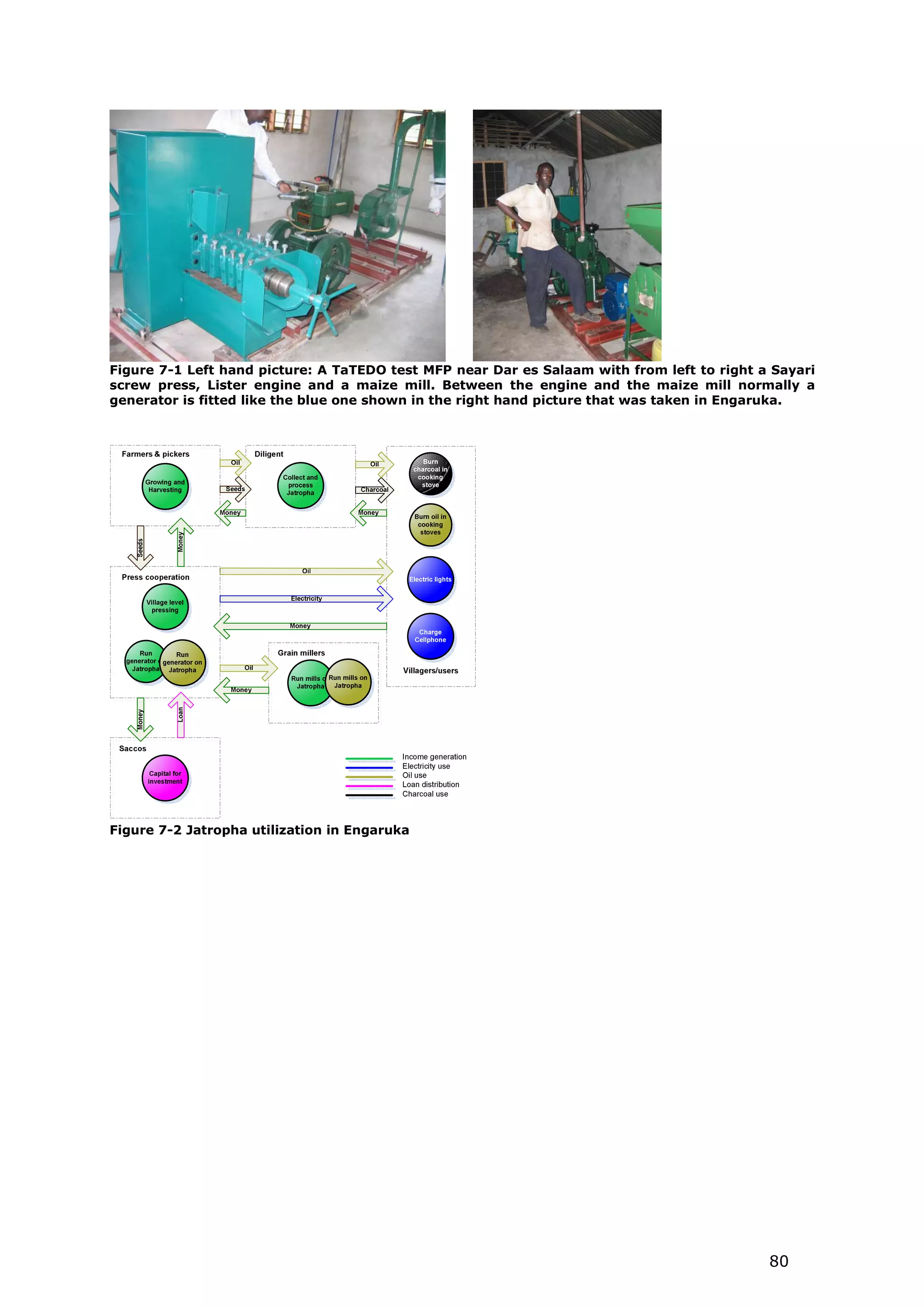 Figure 7-1 Left hand picture: A TaTEDO test MFP near Dar es Salaam with from left to right a Sayari
screw press, Lister engine and a maize mill. Between the engine and the maize mill normally a
generator is fitted like the blue one shown in the right hand picture that was taken in Engaruka.




Figure 7-2 Jatropha utilization in Engaruka




                                                                                            80
 