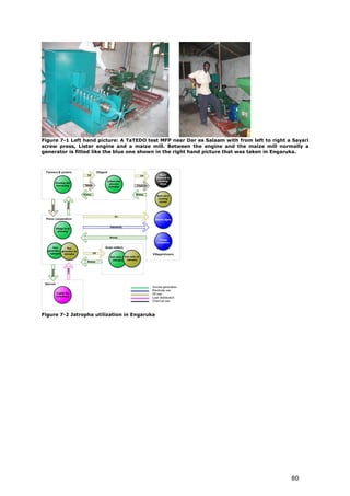 Figure 7-1 Left hand picture: A TaTEDO test MFP near Dar es Salaam with from left to right a Sayari
screw press, Lister engine and a maize mill. Between the engine and the maize mill normally a
generator is fitted like the blue one shown in the right hand picture that was taken in Engaruka.




Figure 7-2 Jatropha utilization in Engaruka




                                                                                            80
 