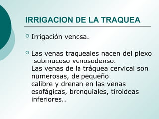 IRRIGACION DE LA TRAQUEA
 Irrigación venosa.
 Las venas traqueales nacen del plexo
submucoso venosodenso.
Las venas de la tráquea cervical son
numerosas, de pequeño
calibre y drenan en las venas
esofágicas, bronquiales, tiroideas
inferiores..
 