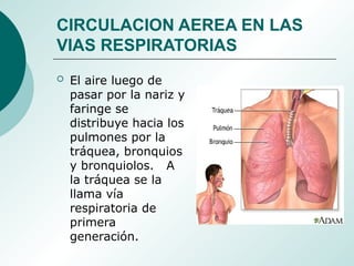 CIRCULACION AEREA EN LAS
VIAS RESPIRATORIAS
 El aire luego de
pasar por la nariz y
faringe se
distribuye hacia los
pulmones por la
tráquea, bronquios
y bronquiolos. A
la tráquea se la
llama vía
respiratoria de
primera
generación.
 