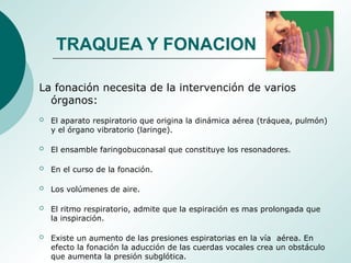 TRAQUEA Y FONACION
La fonación necesita de la intervención de varios
órganos:
 El aparato respiratorio que origina la dinámica aérea (tráquea, pulmón)
y el órgano vibratorio (laringe).
 El ensamble faringobuconasal que constituye los resonadores.
 En el curso de la fonación.
 Los volúmenes de aire.
 El ritmo respiratorio, admite que la espiración es mas prolongada que
la inspiración.
 Existe un aumento de las presiones espiratorias en la vía aérea. En
efecto la fonación la aducción de las cuerdas vocales crea un obstáculo
que aumenta la presión subglótica.
 