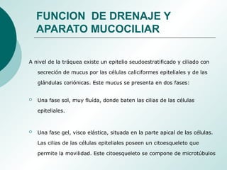 FUNCION DE DRENAJE Y
APARATO MUCOCILIAR
A nivel de la tráquea existe un epitelio seudoestratificado y ciliado con
secreción de mucus por las células caliciformes epiteliales y de las
glándulas coriónicas. Este mucus se presenta en dos fases:
 Una fase sol, muy fluída, donde baten las cilias de las células
epiteliales.
 Una fase gel, visco elástica, situada en la parte apical de las células.
Las cilias de las células epiteliales poseen un citoesqueleto que
permite la movilidad. Este citoesqueleto se compone de microtúbulos
 