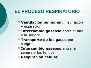  Ventilación pulmonar: inspiración
y espiración.
 Intercambio gaseoso entre el aire
y la sangre.
 Transporte de los gases por la
sangre.
 Intercambio gaseoso entre la
sangre y los tejidos.
 Respiración celular.
EL PROCESO RESPIRATORIO
 