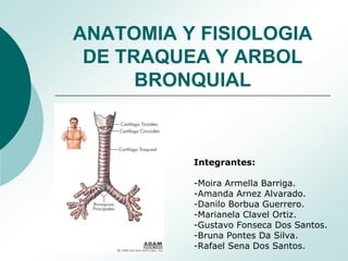 ANATOMIA Y FISIOLOGIA
 DE TRAQUEA Y ARBOL
      BRONQUIAL



          Integrantes:

          -Moira Armella Barriga.
   ...