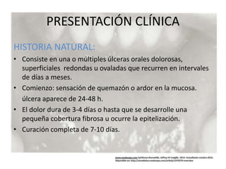 PRESENTACIÓN CLÍNICA
HISTORIA NATURAL:
• Consiste en una o múltiples úlceras orales dolorosas,
superficiales redondas u ovaladas que recurren en intervales
de días a meses.
• Comienzo: sensación de quemazón o ardor en la mucosa.
úlcera aparece de 24-48 h.
• El dolor dura de 3-4 días o hasta que se desarrolle una
pequeña cobertura fibrosa u ocurre la epitelización.
• Curación completa de 7-10 días.
 