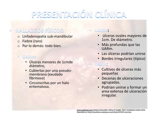 o Linfadenopatía sub-mandibular
o Fiebre (raro)
o Por lo demás: todo bien.
• Úlceras menores de 1cmde
diámetro,
• Cubiertas por una pseudo-
membrana (exudado
fibrinoso)
• Circunscritas por un halo
eritematoso.
:
• úlceras ovales mayores de
1cm. De diámetro.
• Más profundas que las
UARm.
• Las úlceras podrían unirse
• Bordes irregulares (típico)
:
• Cultivos de úlceras más
pequeñas
• Decenas de ulceraciones
agrupadas.
• Podrían unirse y formar un
area extensa de ulceración
irregular.
 