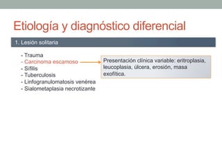 Etiología y diagnóstico diferencial
- Trauma
- Carcinoma escamoso
- Sífilis
- Tuberculosis
- Linfogranulomatosis venérea
- Sialometaplasia necrotizante
1. Lesión solitaria
Presentación clínica variable: eritroplasia,
leucoplasia, úlcera, erosión, masa
exofítica.
 