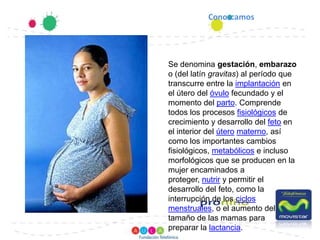Conozcamos Se denomina gestación, embarazo o (del latín gravitas) al período que transcurre entre la implantación en el útero del óvulo fecundado y el momento del parto. Comprende todos los procesos fisiológicos de crecimiento y desarrollo del feto en el interior del úteromaterno, así como los importantes cambios fisiológicos, metabólicos e incluso morfológicos que se producen en la mujer encaminados a proteger, nutrir y permitir el desarrollo del feto, como la interrupción de los ciclos menstruales, o el aumento del tamaño de las mamas para preparar la lactancia.