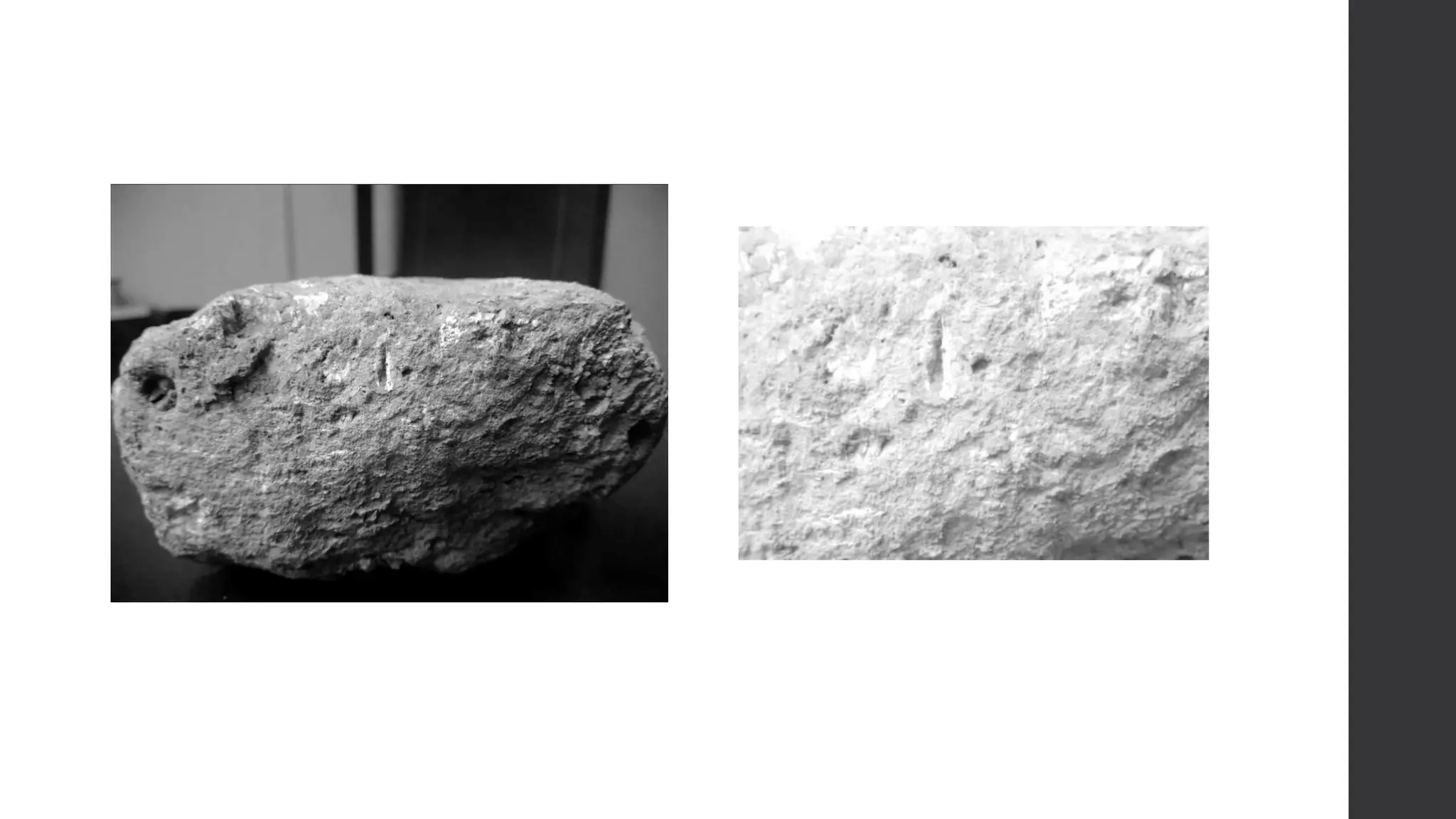 after-landscape-architecture-proposal-pdf