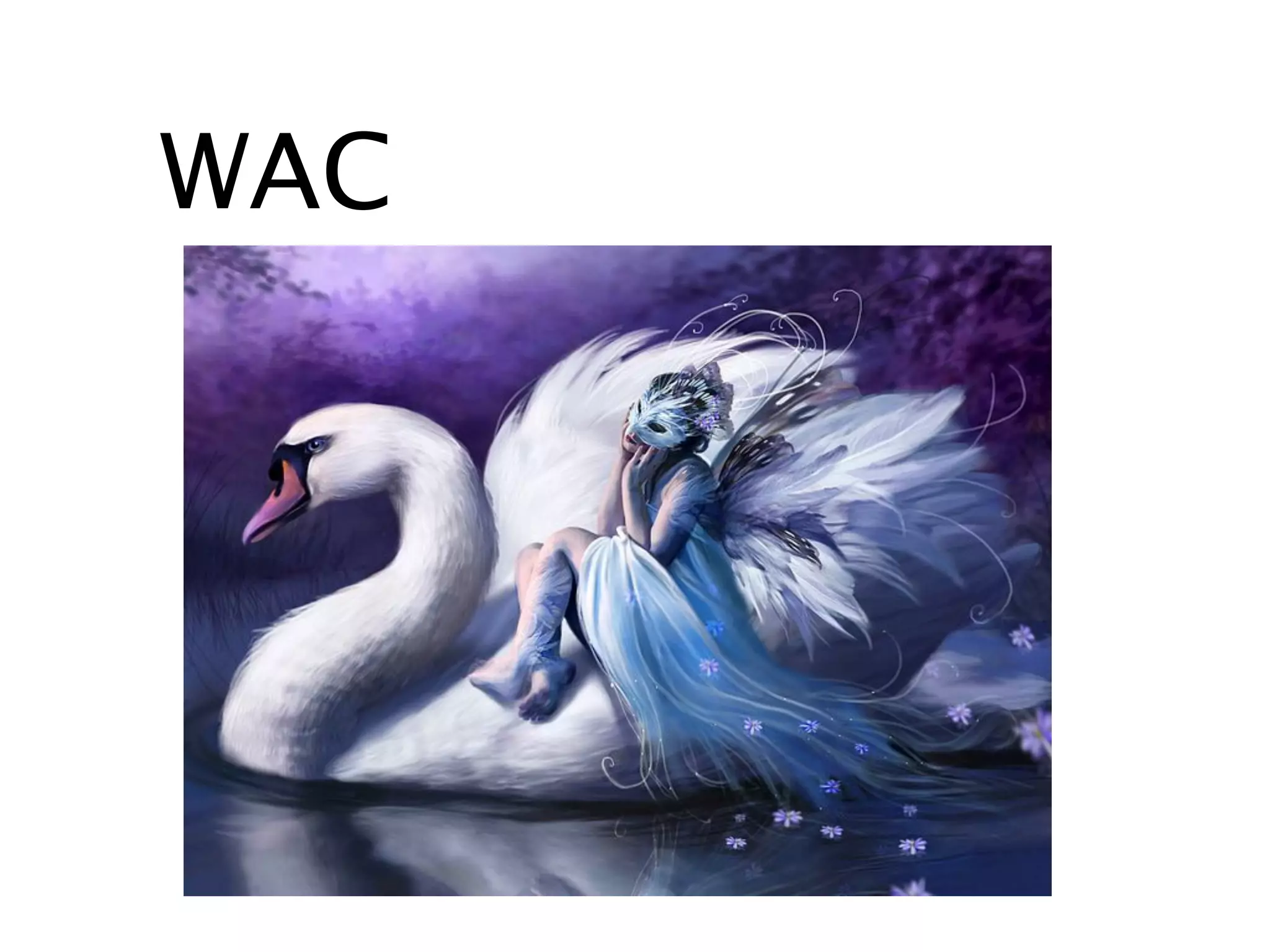 WAC
 