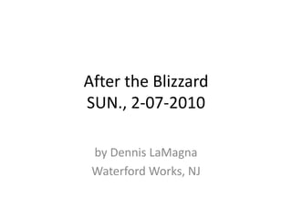 After the BlizzardSUN., 2-07-2010 by Dennis LaMagna Waterford Works, NJ 
