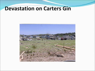 Devastation on Carters Gin  