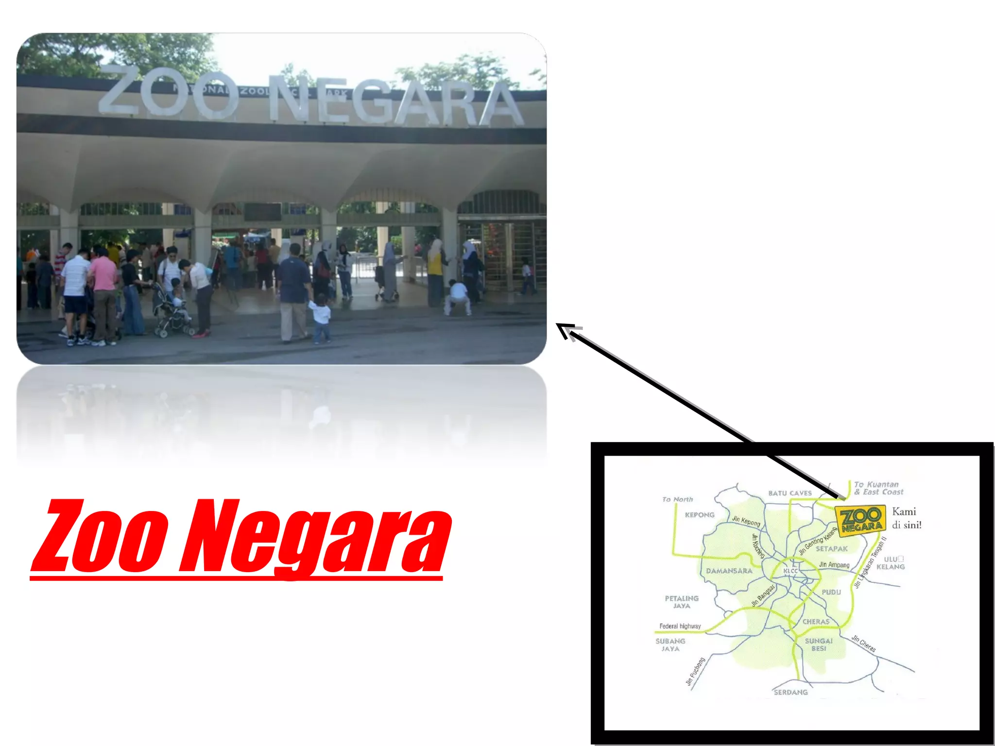 Zoo Negara
 