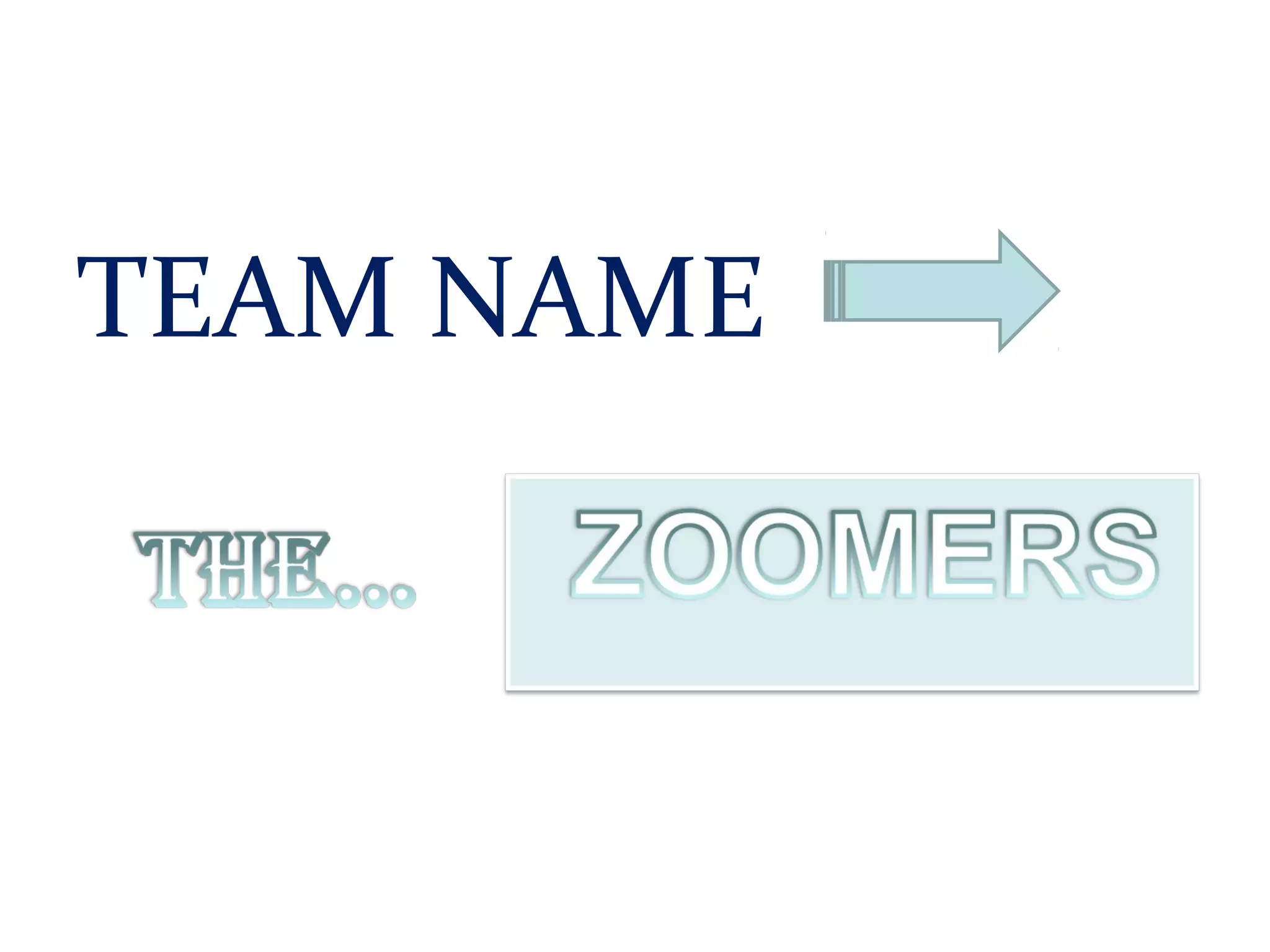 TEAM NAME
 