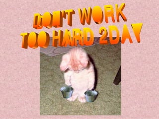 DON'T WORK TOO HARD 2DAY 