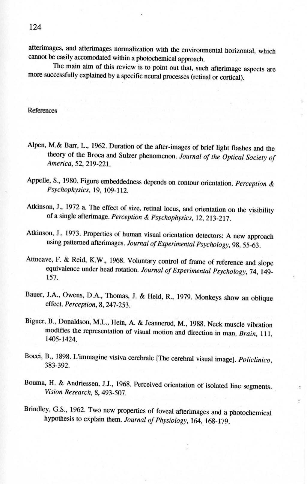 Essay on afterimage picture