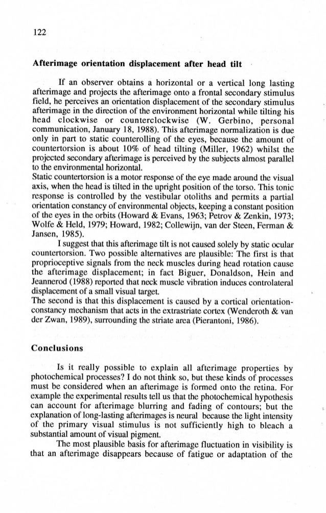 Essay on afterimage 08 image