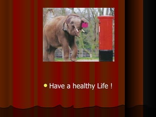 Have a healthy Life ! 