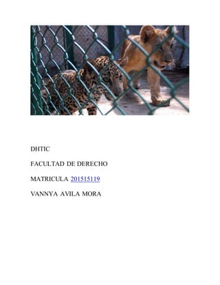 SACRIFICIO ANIMAL
VANNYA AVILA MORA
DHTIC
FACULTAD DE DERECHO
MATRICULA 201515119
VANNYA AVILA MORA
 
