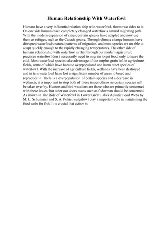 Human Relationship With Waterfowl
Humans have a very influential relation ship with waterfowl, theres two sides to it.
On one side humans have completely changed waterfowls natural migrating path.
With the modern expansion of cities, certain species have adapted and now use
them as refuges, such as the Canada goose. Through climate change humans have
disrupted waterfowls natural patterns of migration, and most species are un able to
adapt quickly enough to the rapidly changing temperatures. The other side of
humans relationship with waterfowl is that through our modern agriculture
practices waterfowl don t necessarily need to migrate to get food, only to leave the
cold. Most waterfowl species take advantage of the surplus grain left in agriculture
fields, some of which have became overpopulated and harm other species of
waterfowl. With the increase of agriculture fields, wetlands have been destroyed
and in tern waterfowl have lost a significant number of areas to breed and
reproduce in. There is a overpopulation of certain species and a decrease in
wetlands, it is important to stop both of these issues otherwise certain species will
be taken over by. Hunters and bird watchers are those who are primarily concerned
with these issues, but other out doors mans such as fisherman should be concerned.
As shown in The Role of Waterfowl in Lower Great Lakes Aquatic Food Webs by
M. L. Schummer and S. A. Petrie, waterfowl play a important role in maintaining the
food webs for fish. It is crucial that action is
 