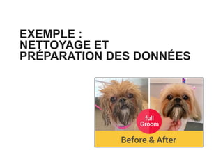45
EXEMPLE :
NETTOYAGE ET
PRÉPARATION DES DONNÉES
 