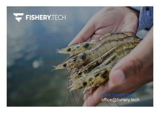 www.fishery.tech
office@fishery.tech
 