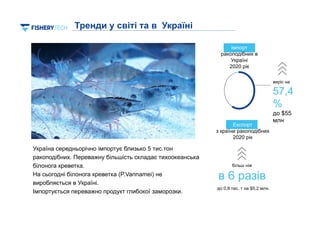 Україна середньорічно імпортує близько 5 тис.тон
ракоподібних. Переважну більшість складає тихоокеанська
білонога креветка.
На сьогодні білонога креветка (P.Vannamei) не
виробляється в Україні.
Імпортується переважно продукт глибокої заморозки.
3
Експорт
з країни ракоподібних
2020 рік
більш ніж
в 6 разів
до 0,8 тис. т на $5,2 млн.
Тренди у світі та в Україні
виріс на
57,4
%
до $55
млн
Імпорт
ракоподібних в
Україні
2020 рік
 