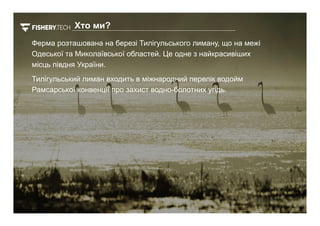 Ферма розташована на березі Тилігульського лиману, що на межі
Одеської та Миколаївської областей. Це одне з найкрасивіших
місць півдня України.
Тилігульський лиман входить в міжнародний перелік водойм
Рамсарської конвенції про захист водно-болотних угідь.
Хто ми?
 