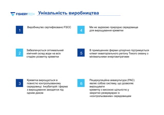 9
9
1
Виробництво сертифіковано FSCC
2
Забезпечується оптимальний
хімічний склад води на всіх
стадіях розвитку креветки
3
Креветка вирощується в
повністю контрольованому
середовищі. Інкубаторій і ферма
з вирощування заходятся під
одним дахом
Унікальність виробництва
5
В приміщеннях ферми цілорічно підтримується
клімат екваторіального регіону Тихого океану з
мінімальними енерговитратами
4
Ми не задіюємо природнє середовище
для вирощування креветки
6
Рециркуляційна аквакультура (РАС)
являє собою систему, що дозволяє
вирощувати
креветку з високою щільністю у
закритих резервуарах із
«контрольованим» середовищем
 