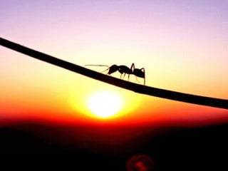 FAÇA DO AGORA
O FÓCO PRINCIPAL
   DA SUA VIDA
 