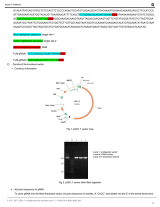Afuco platform for adcc enhanced therapeutic antibody development | PDF
