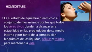 HOMEOSTASIS 
• Es el estado de equilibrio dinámico o el 
conjunto de mecanismos por los que todos 
los seres vivos tienden a alcanzar una 
estabilidad en las propiedades de su medio 
interno y por tanto de la composición 
bioquímica de los líquidos, células y tejidos, 
para mantener la vida 
 