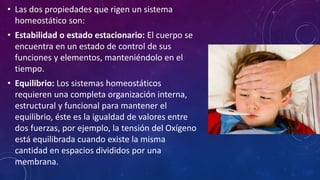 • Las dos propiedades que rigen un sistema 
homeostático son: 
• Estabilidad o estado estacionario: El cuerpo se 
encuentra en un estado de control de sus 
funciones y elementos, manteniéndolo en el 
tiempo. 
• Equilibrio: Los sistemas homeostáticos 
requieren una completa organización interna, 
estructural y funcional para mantener el 
equilibrio, éste es la igualdad de valores entre 
dos fuerzas, por ejemplo, la tensión del Oxígeno 
está equilibrada cuando existe la misma 
cantidad en espacios divididos por una 
membrana. 
 