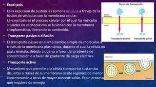 • Exocitosis 
• Es la expulsión de sustancias como la insulina a través de la 
fusión de vesículas con la membrana celular. 
La exocitosis es el proceso celular por el cual las vesículas 
situadas en el citoplasma se fusionan con la membrana 
citoplasmática, liberando su contenido. 
• Transporte pasivo o difusión 
• El transporte pasivo es el intercambio simple de moléculas a 
través de la membrana plasmática, durante el cual la célula no 
gasta energía, debido a que va a favor del gradiente de 
concentración o a favor de gradiente de carga eléctrica 
• Transporte activo 
• Mecanismo que permite a la célula transportar sustancias 
disueltas a través de su membrana desde regiones de menor 
concentración a otras de mayor concentración. Es un proceso 
que requiere de energía 
 