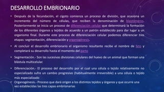 DESARROLLO EMBRIONARIO 
• Después de la fecundación, el cigoto comienza un proceso de división, que ocasiona un 
incremento del número de células, que reciben la denominación de blastómeros. 
Posteriormente se inicia un proceso de diferenciación celular que determinará la formación 
de los diferentes órganos y tejidos de acuerdo a un patrón establecido para dar lugar a un 
organismo final. Durante este proceso de diferenciación celular podemos diferenciar tres 
etapas: segmentación, diferenciación y organogénesis. 
• Al concluir el desarrollo embrionario el organismo resultante recibe el nombre de feto y 
completará su desarrollo hasta el momento del parto 
• Segmentación.- Son las sucesivas divisiones celulares del huevo de un animal que forman una 
blástula multicelular. 
• Diferenciación.- El proceso del desarrollo por el cual una célula o tejido relativamente no 
especializado sufre un cambio progresivo (habitualmente irreversible) a una célula o tejido 
más especializado 
• Organogénesis.- Proceso que dará origen a los distintos tejidos y órganos y que ocurre una 
vez establecidas las tres capas embrionarias 
 