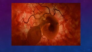 FUNCIÓN DE LOS SERES VIVOS 